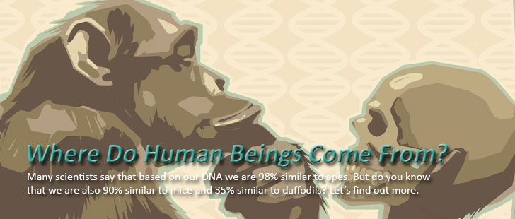 Where Do Human Beings Come From?